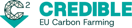 CREDIBLE logo