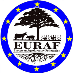 EURAF icon